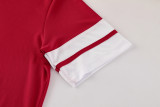2025/26 AD Red Training Jersey(A Set)