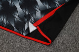 2025/26 Flamengo Vest Training Jersey(A Set)