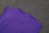 2025/26 RM Purple Vest Training Jersey(A Set)