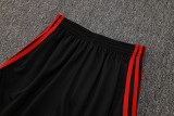 2025/26 Flamengo Vest Training Jersey(A Set)