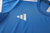 2025/26 AD Blue Training Jersey(A Set)