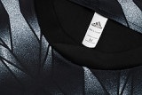 2025/26 Flamengo Vest Training Jersey(A Set)