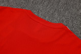 2025/26 Flamengo Red Training Jersey(A Set)