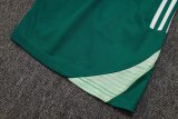 2025/26 AD Light Green Training Jersey(A Set)