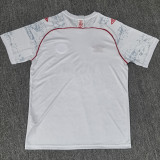 2025/26 Hapoel Beer Sheva Away Away Fans Soccer Jersey 贝尔谢巴工人