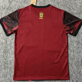 2025/26 Brazil Special Edition Fans Soccer Jersey