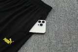 2025/26 BVB Black Training Jersey(A Set)