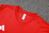 2025/26 ARS Red Vest Training Jersey(A Set)