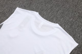2025/26 Inter Miami White Vest Training Jersey(A Set)