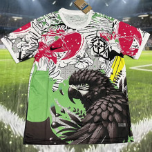2025/26 Brazil Special Edition Fans Soccer Jersey