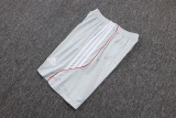 2025/26  BFC Grey Retro Training Jersey(A Set)
