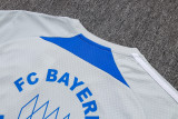 2025/26  BFC Grey Retro Training Jersey(A Set)