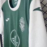 2025/26 Hibernian Green Fans Jersey 苏超  希伯尼安