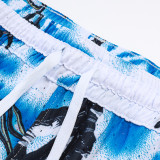 C2503 Jordan Casual Short Pants 素描白