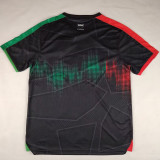 2025/26 FC Palestine Fans Soccer Jersey  阿拉伯文