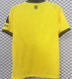 2025/26 Dynamo Dresden Hoem Yellow Fans Soccer Jersey 德累斯顿迪纳摩