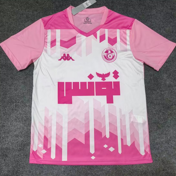 2025/26 Tunisia Special Edition Fans Soccer Jersey  突尼斯