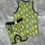 2025/26 Jordan Dark Green Vest Training Jersey(A Set)