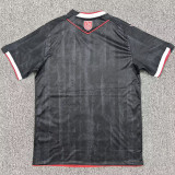 2025/26 West Bromwich Albion Third Fans Soccer Jersey