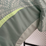 CHICHARITO #14 Mexico Away Fans Soccer Jersey 2024/25  特别字体