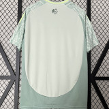 CHICHARITO #14 Mexico Away Fans Soccer Jersey 2024/25  特别字体