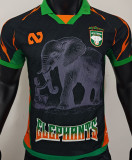 2026 Cameroon White Special Edition Player Version Soccer Jersey