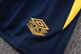 2025/26 Santos Dark Blue Training Jersey(A Set)