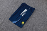 2025/26 Al Nassr Baby Blue Training Jersey(A Set)