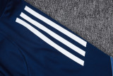 2025/26 Al Nassr Baby Blue Training Jersey(A Set)