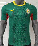 2026/27 Senegal Away Green Fans Soccer Jersey