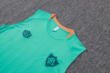 2026 Fluminense Green Vest Training Jersey (A Set)
