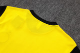 2026 BVB Yellow Training Jersey(A Set)