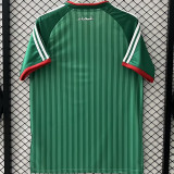 2026/27 Algeria Away Green Fans Soccer Jersey