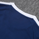 2026 AD Royal Blue Training Jersey (A Set)