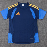 2026 AD Royal Blue Training Jersey (A Set)