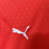 2025/26 Portugal Home Kids Long Sleeve Soccer Jersey 长袖童装