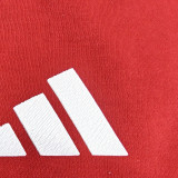 2026 Benfica Black Hoody 黑色