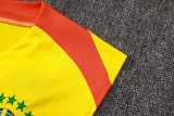 2026/27 Brazil Yellow Vest Training Jersey(A Set)