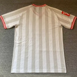 2026 Chivas Special Edition Fans Soccer Jersey
