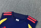2026/27 Colombia Baby Blue Vest Training Jersey (A Set)