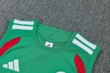 2026/27 Algeria Green Vest Training Jersey (A Set)