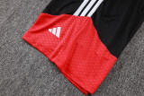 2026/27 Germany Red Vest Training Jersey (A Set)