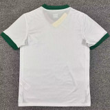 2026/27 Bolivia Away White Fans Soccer Jersey
