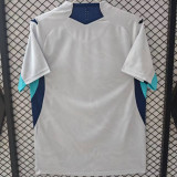 2025/26 Hoffenheim Third White Fans Soccer Jersey