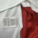 2026/27 Germany White Red Training Sweater