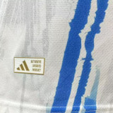2026/27 Argentina Special Edition Player Version Soccer Jersey