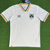 2026/27 Ireland Commemorative Edition White Fans Soccer Jersey