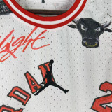2026/27 Jordan Vest Training Jersey (A Set)