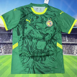 2025 Senegal Away Green Fans Soccer Jersey (with 2 stars 带两星）