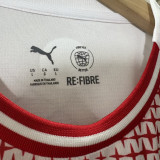 2026 PSV Special Edition Fans Soccer Jersey